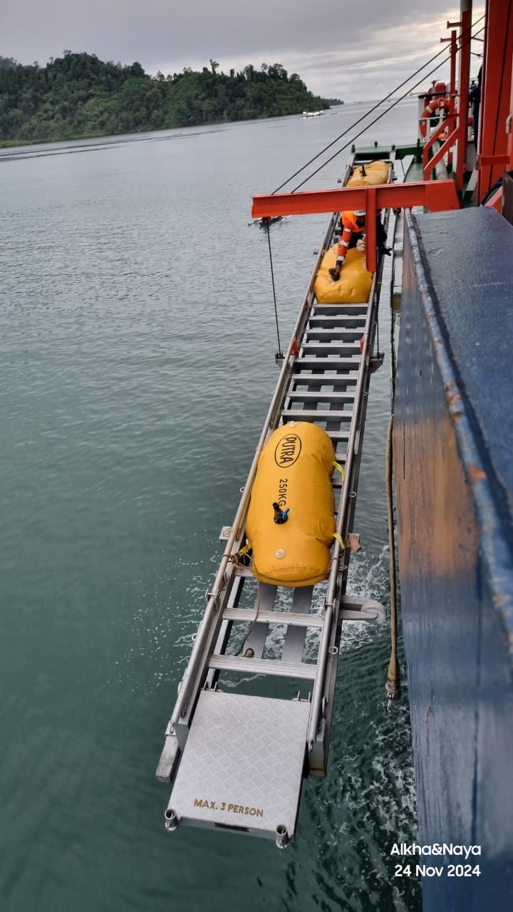 Bulk Cargo Transport